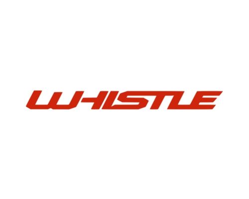biciclando_marchi_0000_whistle-logo